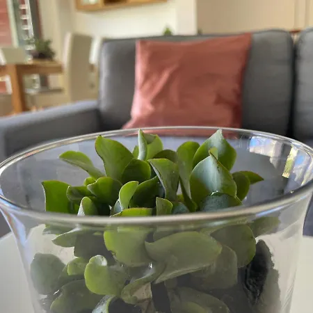 Holiday home Tenerife Family *