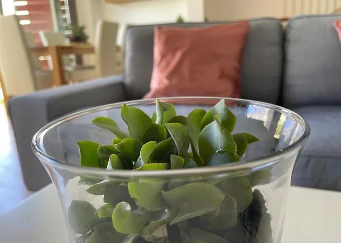 بيت للعطل Tenerife Family *